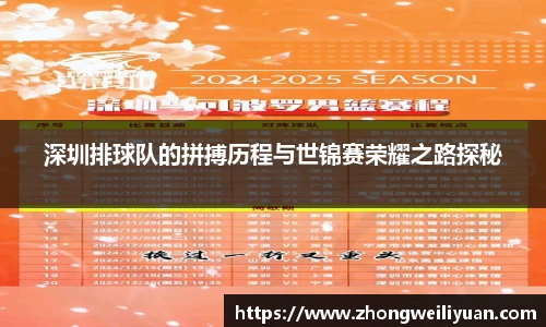 深圳排球队的拼搏历程与世锦赛荣耀之路探秘