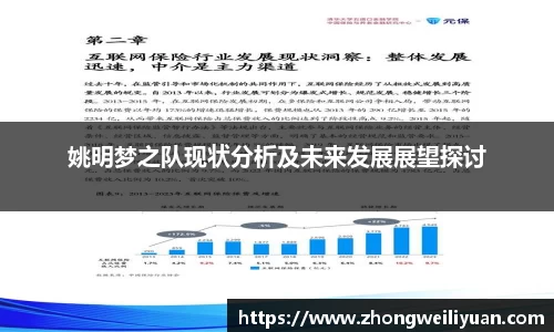 姚明梦之队现状分析及未来发展展望探讨
