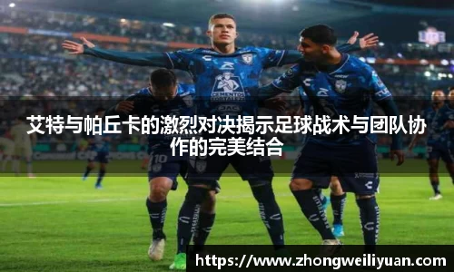 Bsports官网